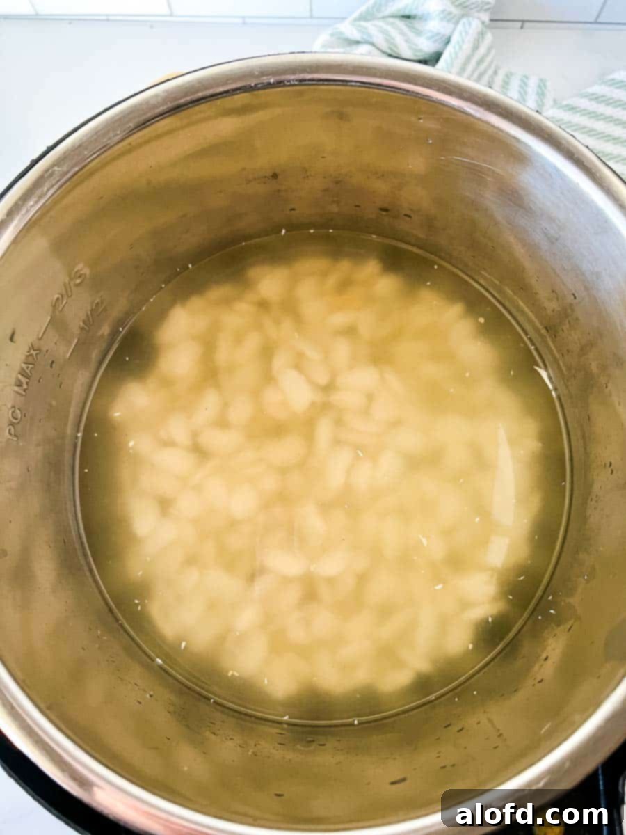 Perfectly Tender Instant Pot Cannellini Beans 6 A close-up view inside an Instant Pot liner, showing dry white beans submerged in a flavorful broth, ready for pressure cooking. This illustrates the simple ingredient setup.