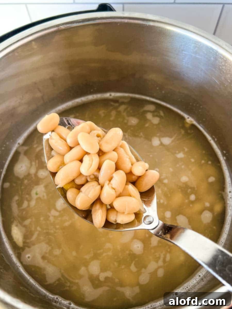 Perfectly Tender Instant Pot Cannellini Beans 8 A spoonful of freshly cooked Instant Pot white beans is held above the pressure cooker, showcasing their tender texture and readiness to serve.