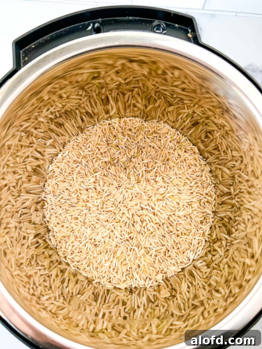 Fluffy Instant Pot Brown Basmati Rice 5 Uncooked brown basmati rice, perfectly rinsed, being added into an Instant Pot pressure cooker.