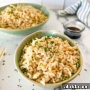 Fluffy Instant Pot Brown Basmati Rice 9 A square image of two bowls with perfectly cooked brown basmati rice, ready for serving.