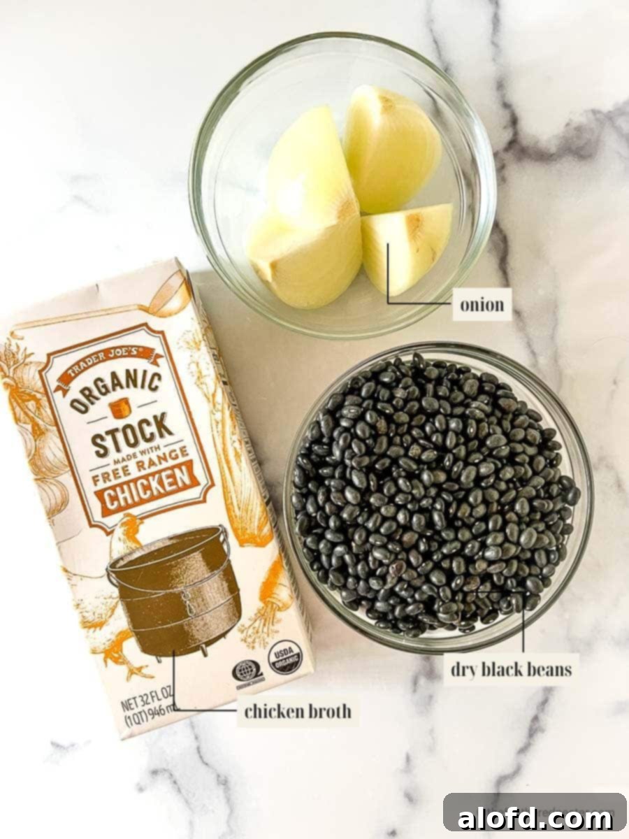 Easy Instant Pot Black Beans 4 labeled ingredients for black beans recipe.