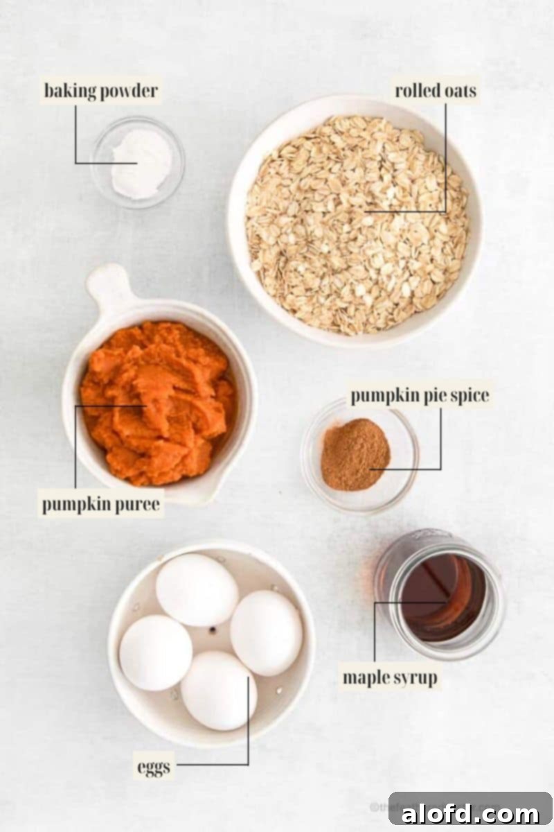 A clear, bright image of all the individual ingredients required for the pumpkin baked oats recipe, neatly arranged and clearly labeled for easy identification.