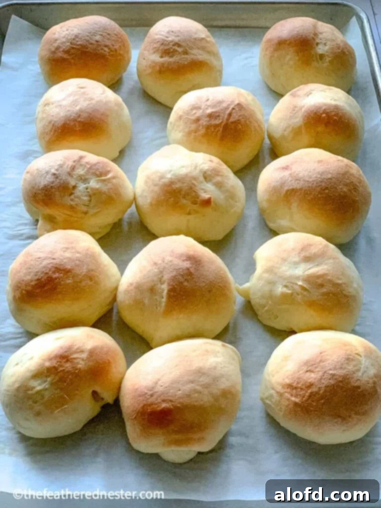 Our Top 5 Thanksgiving Dinner Recipes 13 The best yeast rolls recipe, warm and fluffy, perfectly baked for a Thanksgiving dinner for 6.