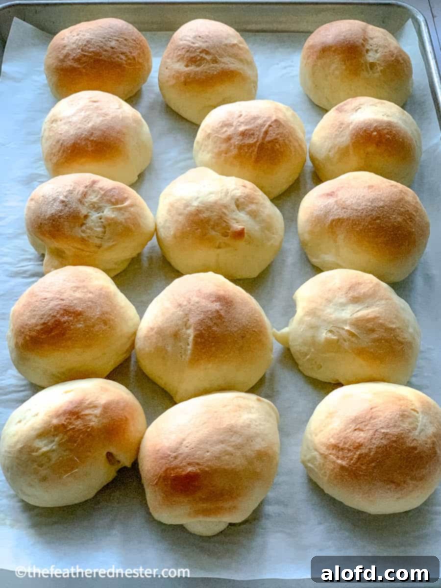 Our Top 5 Thanksgiving Dinner Recipes 14 Sweet Yeast Rolls Recipe, showing a tray of golden-brown, soft rolls, fresh out of the oven.