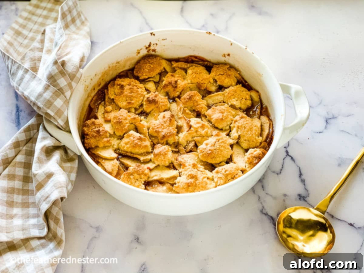 Our Top 5 Thanksgiving Dinner Recipes 16 Bisquick Recipe For Apple Cobbler, showing a close-up of the bubbly fruit filling and golden-brown topping.