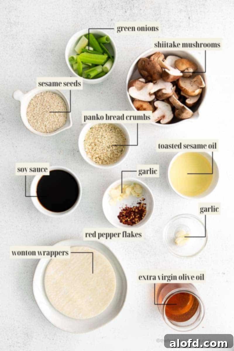 Umami Mushroom Pockets 4 A perfectly arranged flat lay showcasing all the essential fresh ingredients required for preparing a delightful mushroom dumpling recipe.