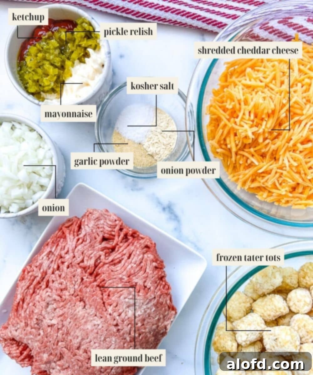 Labeled ingredients for Cheeseburger Tater Tot Casserole recipe including ground beef, spices, cheeses, and tater tots.