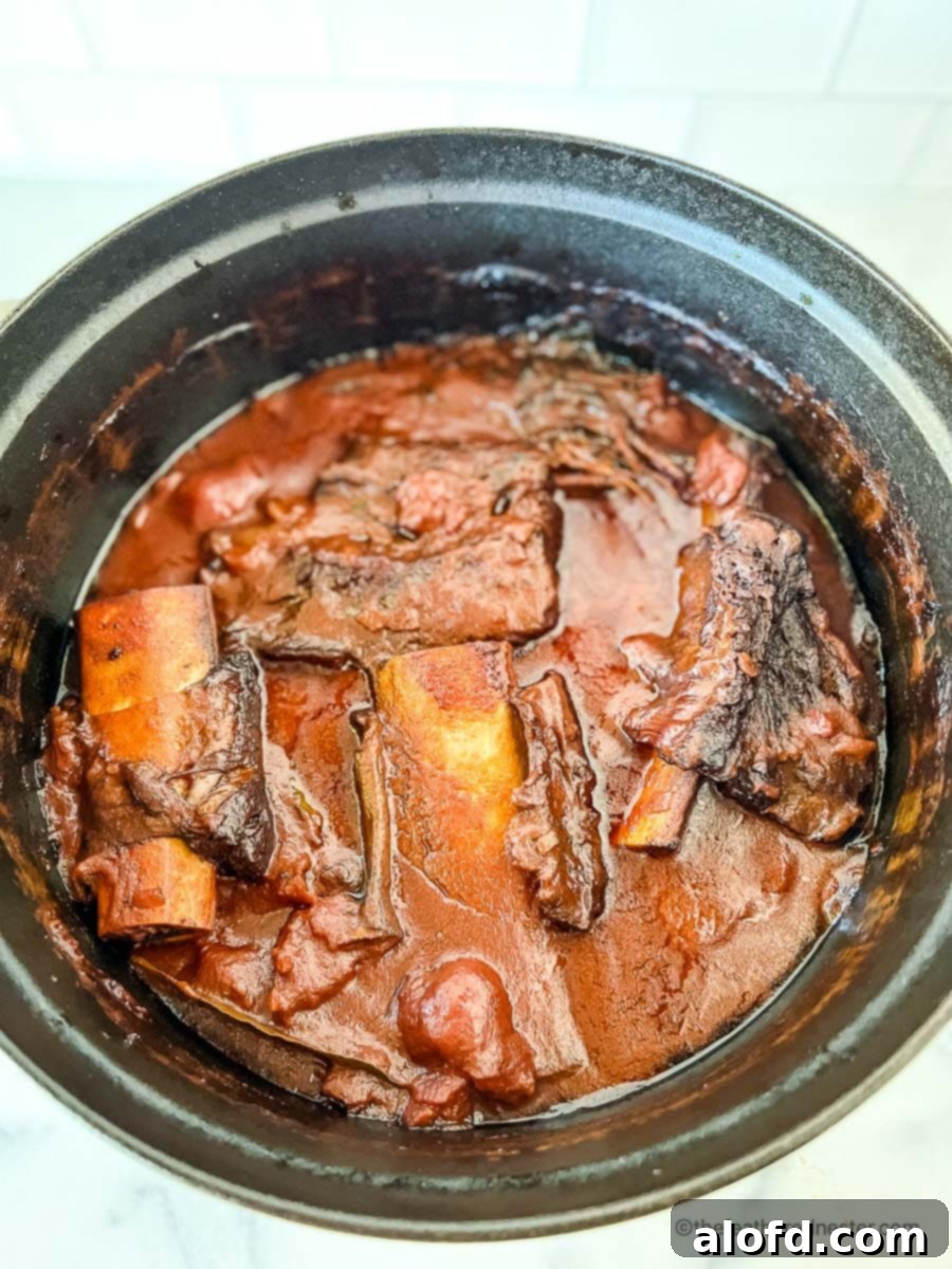 Braised Short Rib Rigatoni 10 Perfectly braised short ribs, incredibly tender and falling off the bone, submerged in a rich ragu sauce in a Dutch oven.