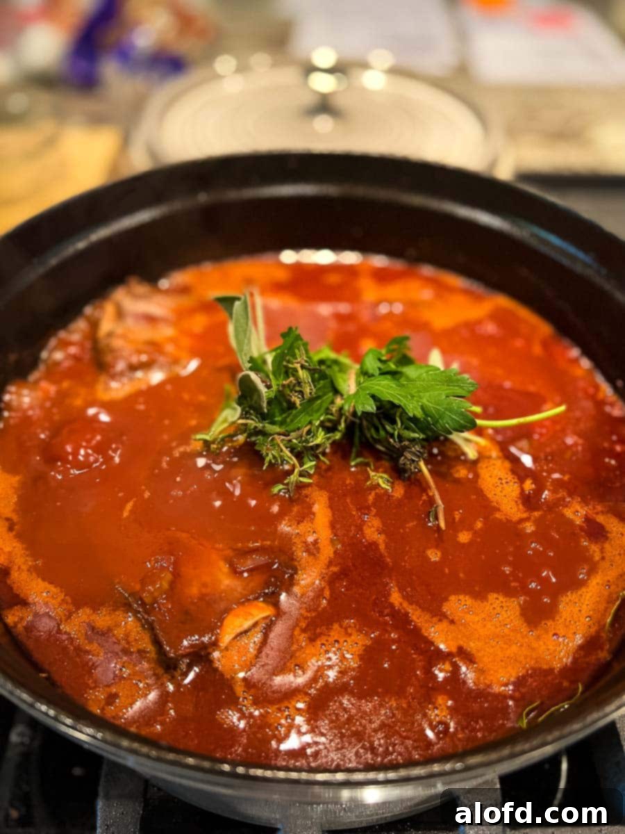 Braised Short Rib Rigatoni 11 Cooked braised short rib ragu, topped with a sprinkling of fresh herbs, ready to be combined with pasta.