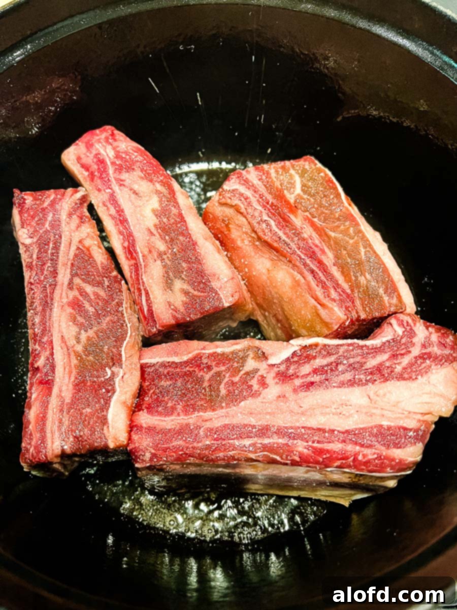 Braised Short Rib Rigatoni 5 Beef short ribs being carefully placed into a preheated Dutch oven to sear.
