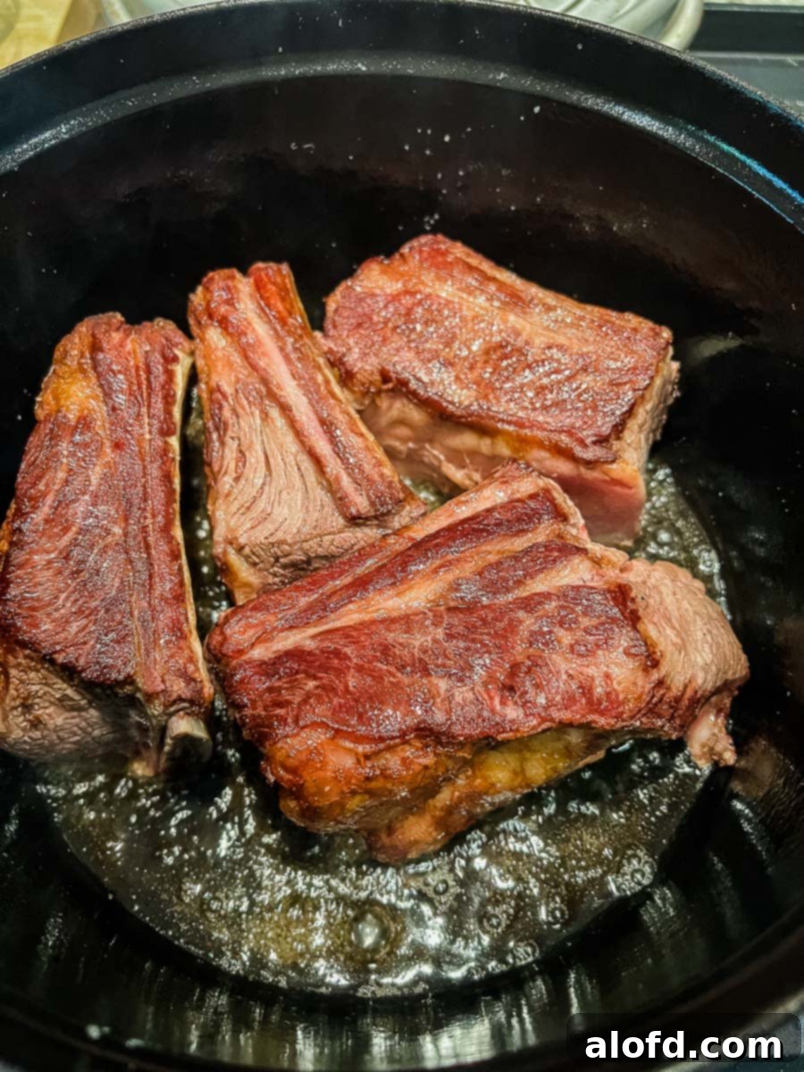 Braised Short Rib Rigatoni 6 Perfectly browned short ribs resting on a plate, having been seared in a Dutch oven.