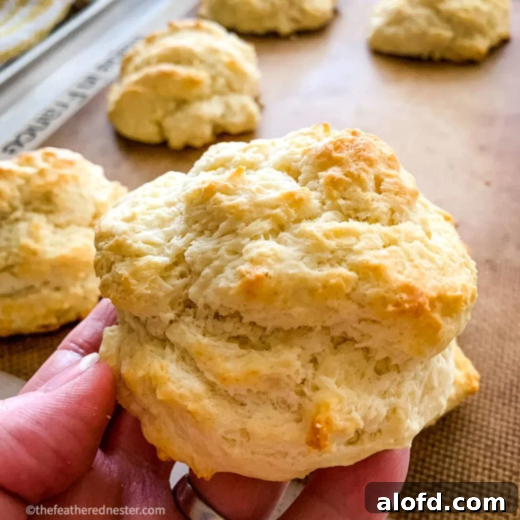 close up of easy drop biscuit.