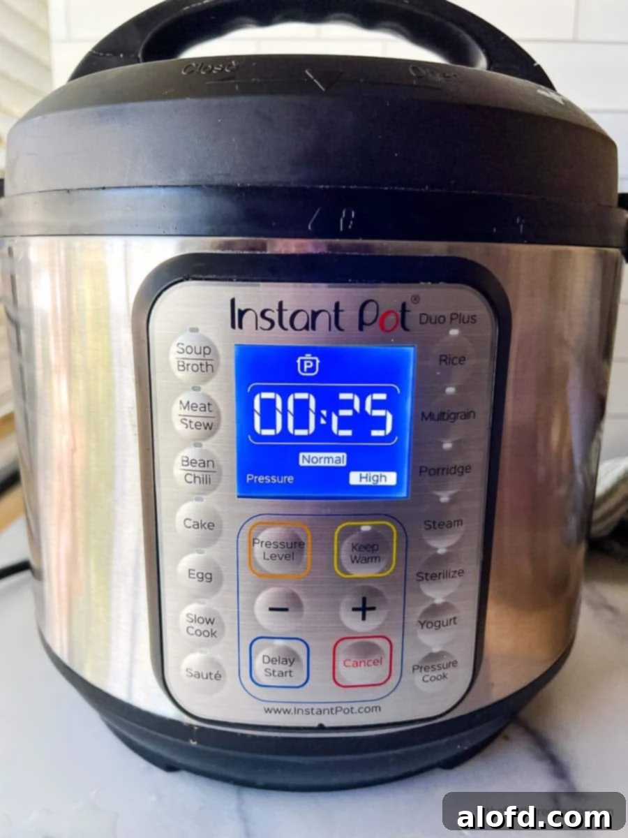 An Instant Pot displaying a cooking time of 25 minutes, ready to cook a delicious meal.