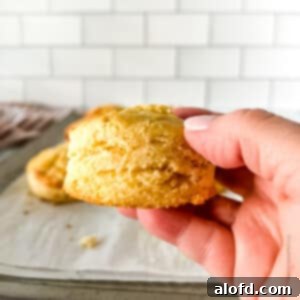 A hand holding a perfectly baked Bisquick buttermilk biscuit, showcasing its golden brown crust and tender texture.