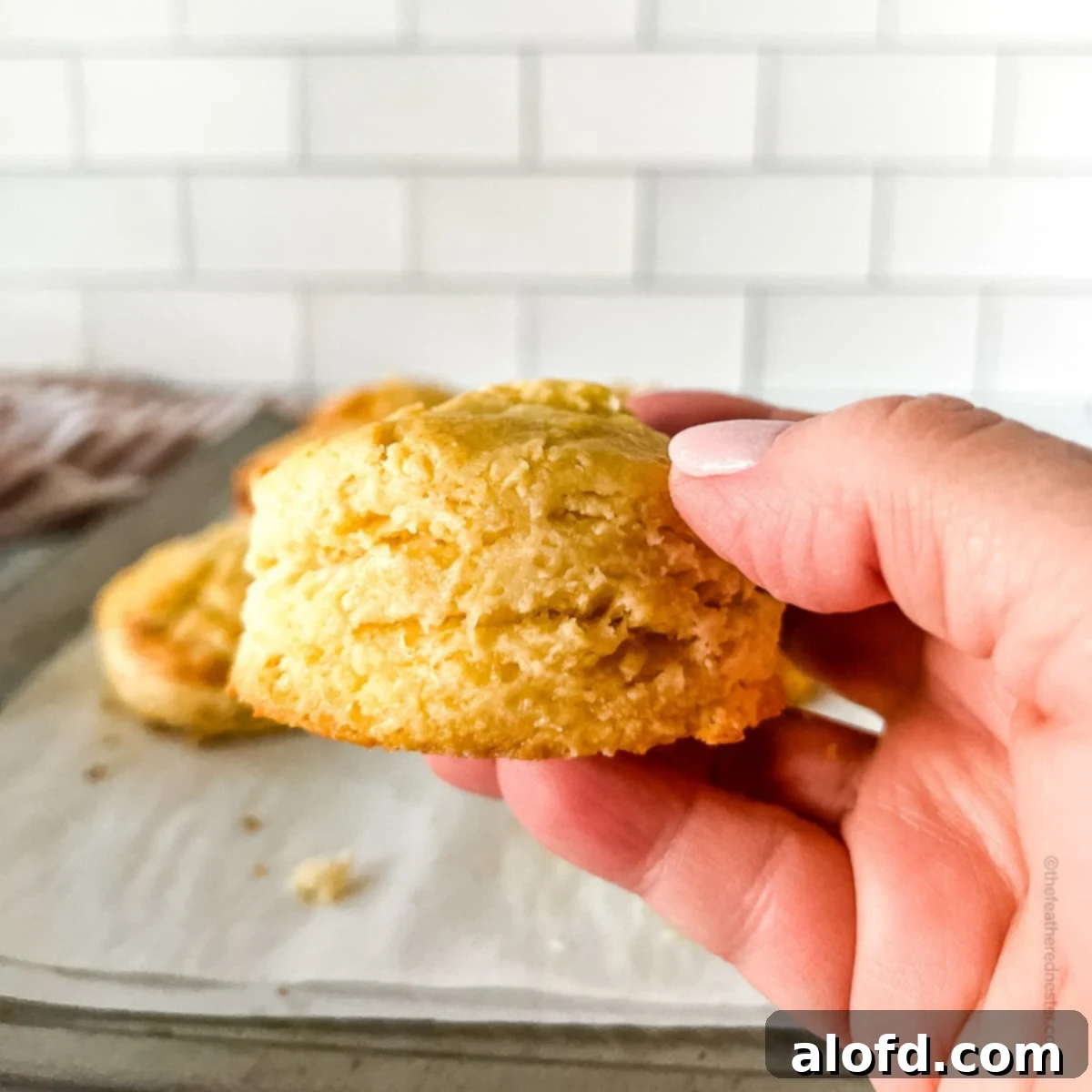 A close-up shot of a hand holding a freshly baked Bisquick buttermilk biscuit, highlighting its golden brown exterior and soft texture.