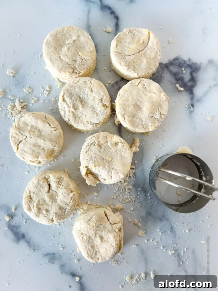 Eight perfectly shaped buttermilk biscuits arranged on a baking sheet next to a biscuit cutter, ready for baking.