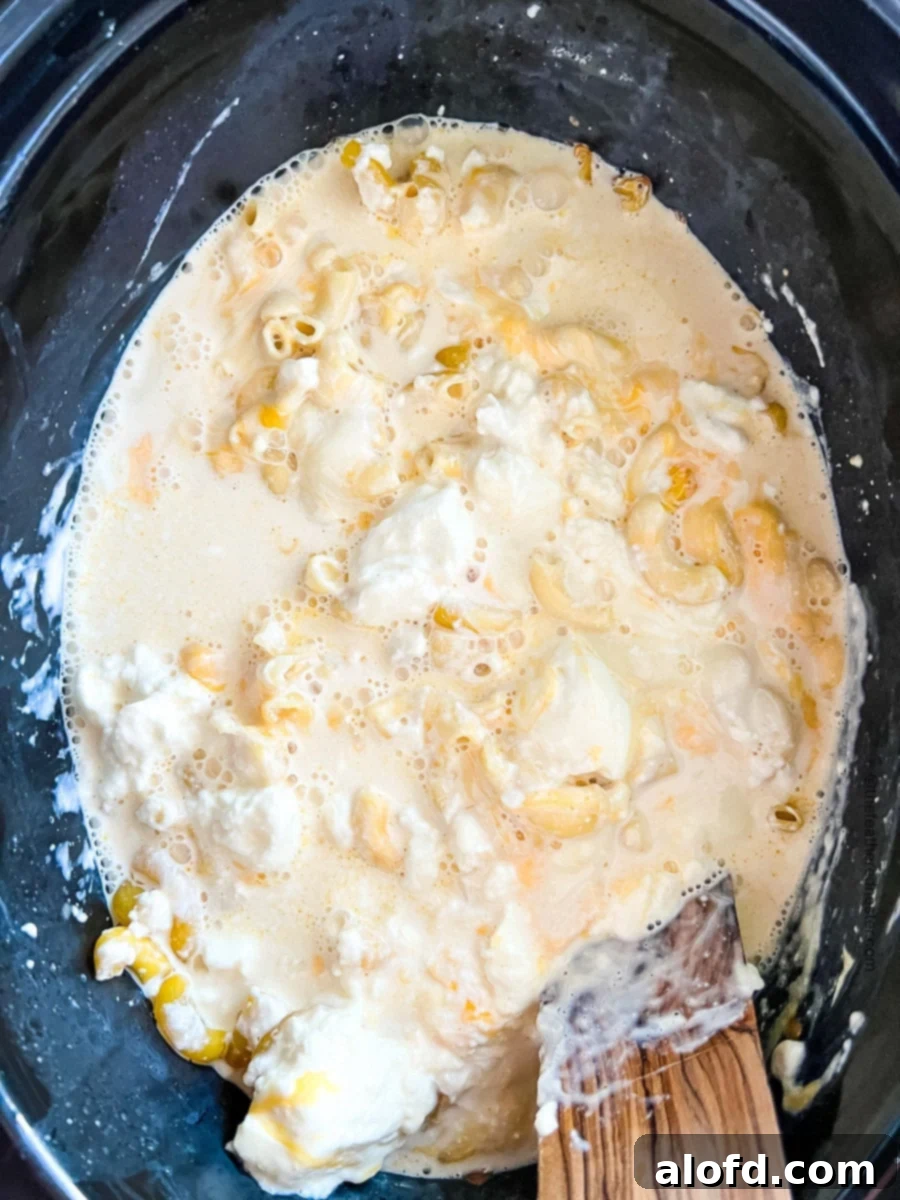 stirring pasta after 1 hour of slow cooking.