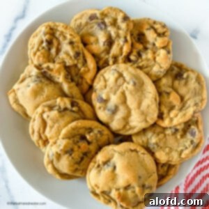 Square photo of a white plate full of no brown sugar chocolate chip cookies.