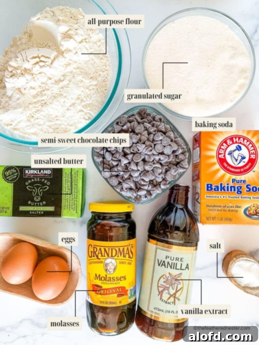 A visual guide to the labeled ingredients needed for chocolate chip cookies without brown sugar, showcasing granulated sugar, butter, eggs, flour, chocolate chips, and other baking essentials.