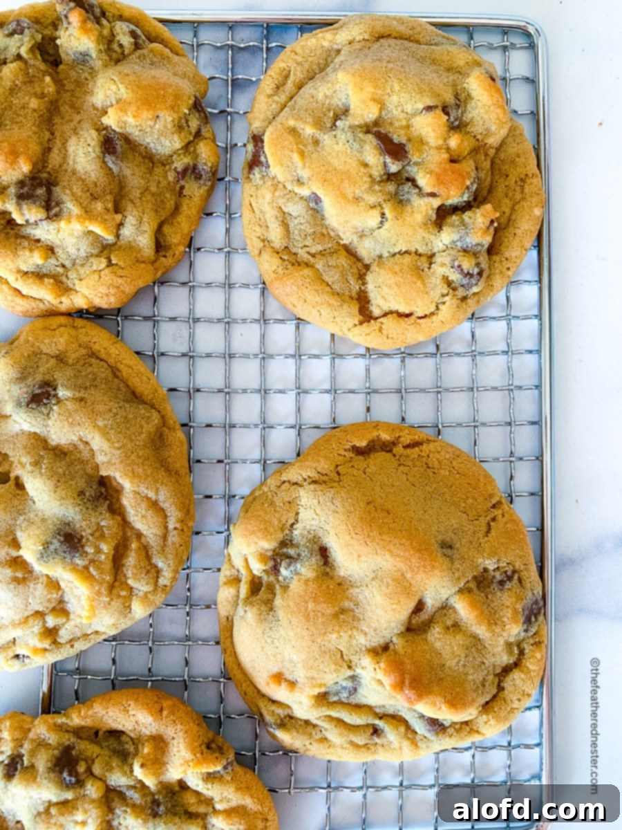 Golden-brown chocolate chip cookies, baked without brown sugar, cooling on a wire rack.