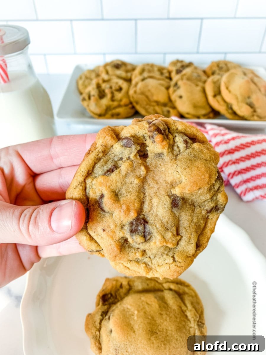 A hand gently holding a warm, freshly baked chocolate chip cookie, highlighting its golden texture and melty chocolate.