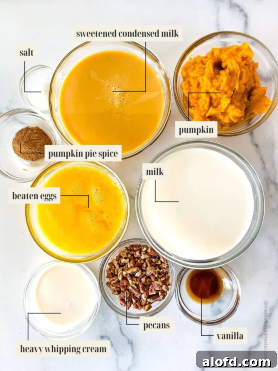 A beautifully arranged image showcasing all the individual ingredients required for the pumpkin custard recipe, clearly labeled.