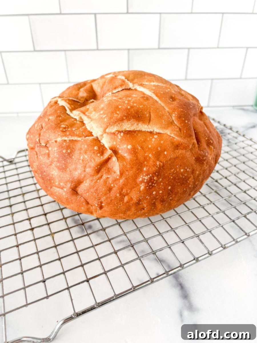 Loaf of artisan bread on a wire cooling rack.