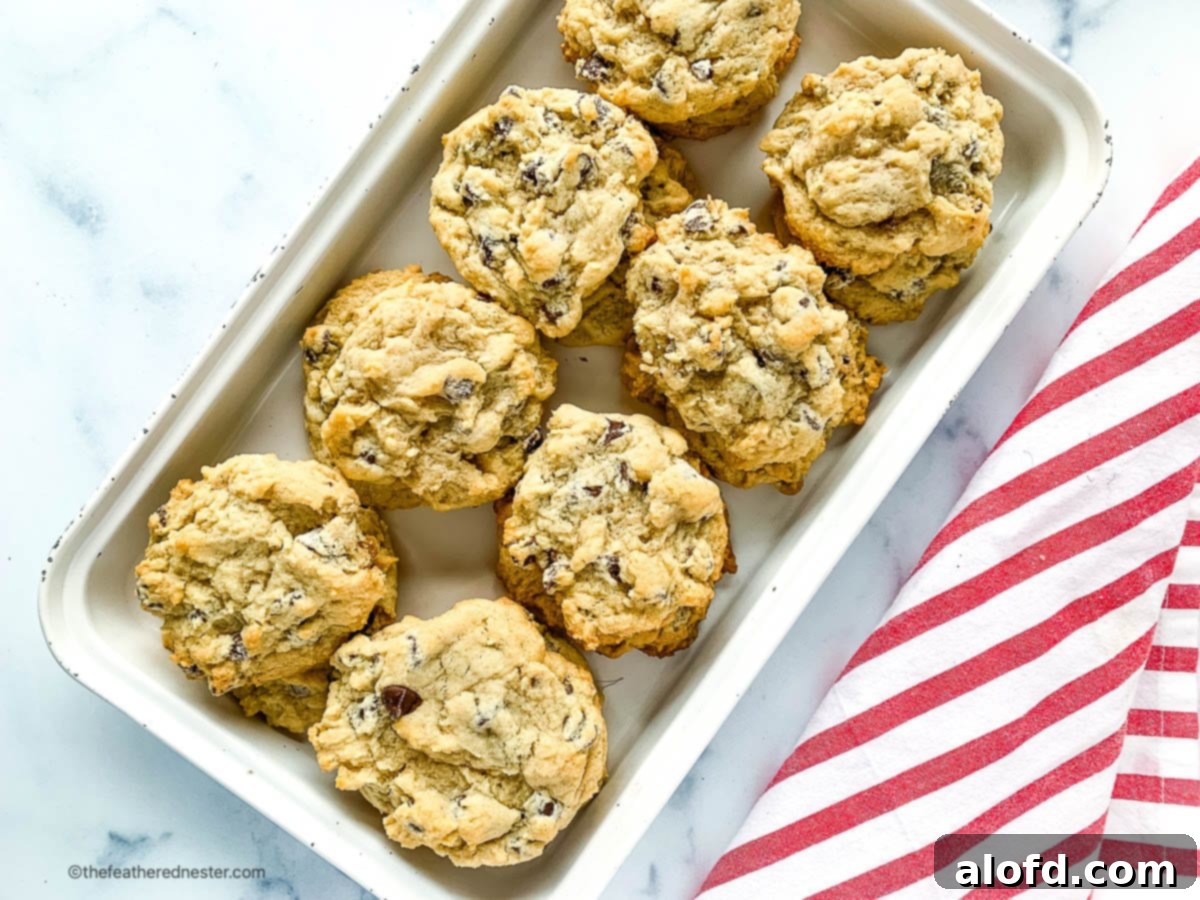 Scrumptious Egg Free Chocolate Chip Cookies 10 A festive serving platter overflowing with beautifully baked eggless chocolate chip cookies, some stacked and others spread out, showcasing their inviting appearance.