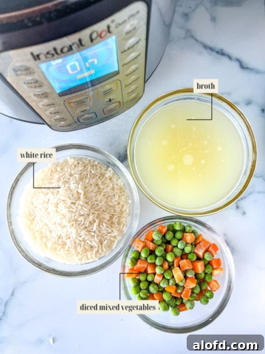 Organized ingredients for Instant Pot Rice Pilaf recipe, including Basmati rice, chicken broth, butter, and frozen mixed vegetables.