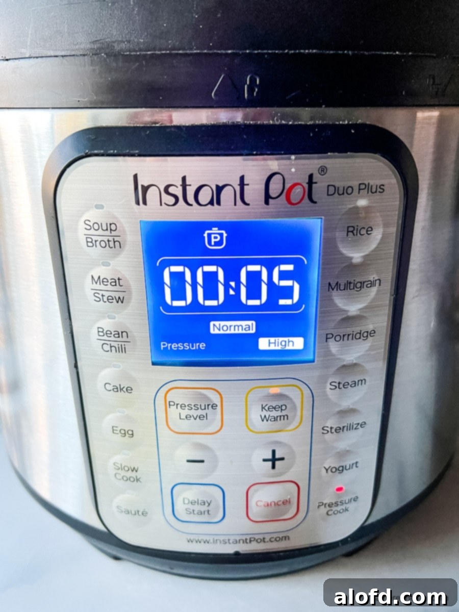 Instant Pot screen displaying a 5-minute high pressure cook time for rice pilaf, indicating cooking is in progress.