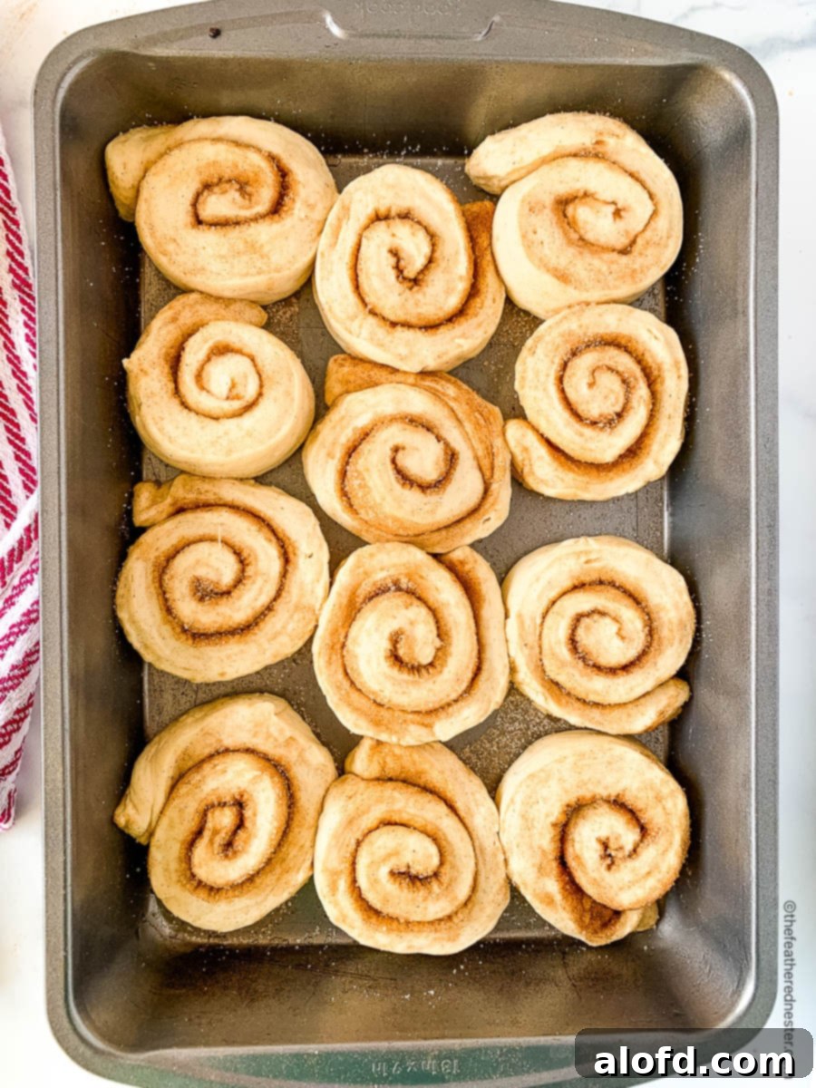 Fluffy Sourdough Discard Cinnamon Rolls 12 A pan of unbaked sweet dough for cinnamon rolls, covered and ready for its final proof.