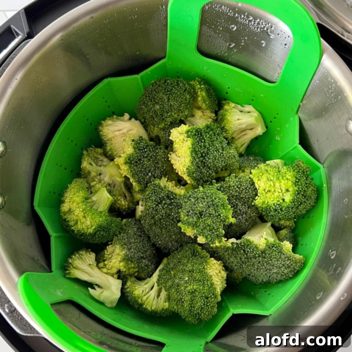 Instant Pot steamed broccoli inside the pressure cooker steaming basket.