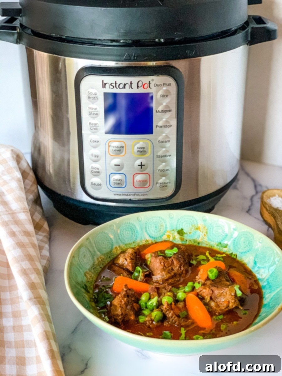 Speedy Savory Beef Stew 2 A steaming bowl of delicious Instant Pot Beef Stew, rich with tender beef, vibrant carrots, and potatoes, ready to be enjoyed as the easiest comfort food meal.