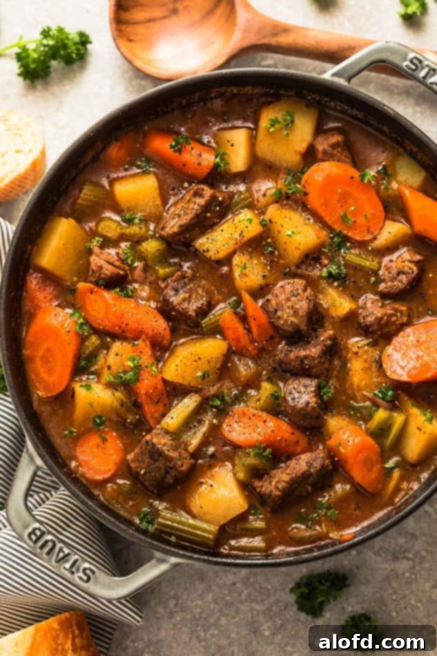 Speedy Savory Beef Stew 7 A beautifully presented bowl of Instant Pot Beef Stew, showcasing its rich texture and wholesome ingredients, perfect for a cozy meal.