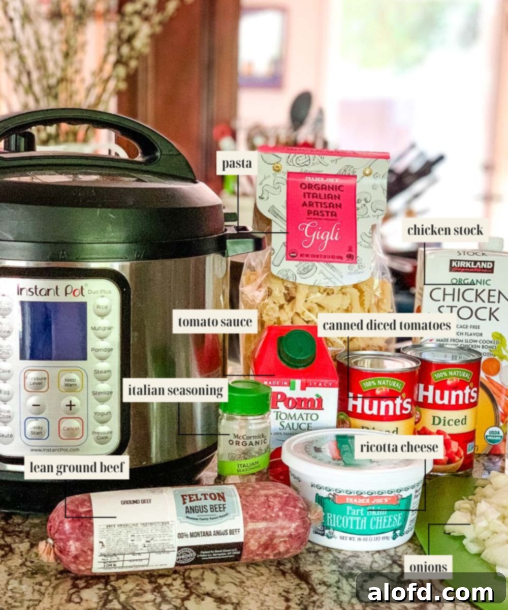Hearty Instant Pot Lasagna Soup 4 Labeled ingredient image for one pot lasagna soup recipe.