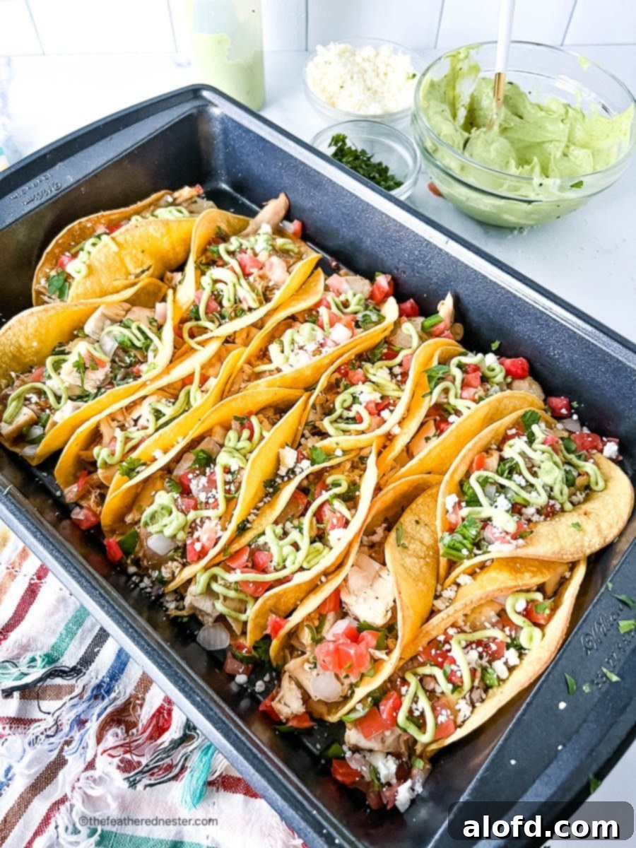 Flavorful Chicken Street Tacos 2 Serving pan of chicken street tacos garnished with fresh Pico de Gallo, chopped cilantro, and avocado cream sauce.