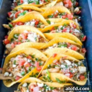 Flavorful Chicken Street Tacos 11 chicken-street-tacos.