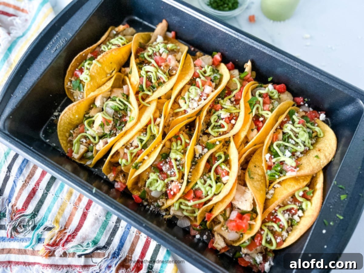 Flavorful Chicken Street Tacos 10 platter full of crispy chicken street tacos, ready for serving.