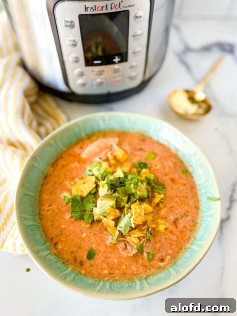 Bowl of Mexican chicken tortilla soup for Cinco de Mayo party food, topped with crispy tortilla strips, avocado, and sour cream.