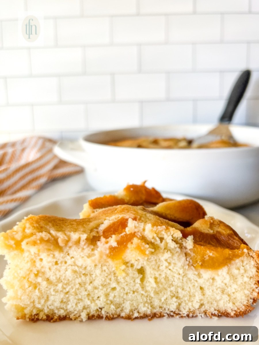 side view: plated slice of moist cobbler cake topped with fresh peaches.
