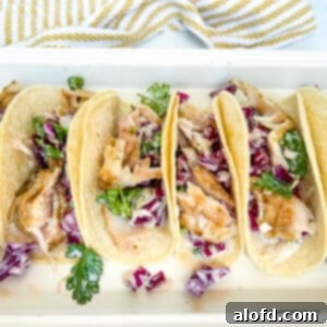 Grilled fish tacos on a platter.