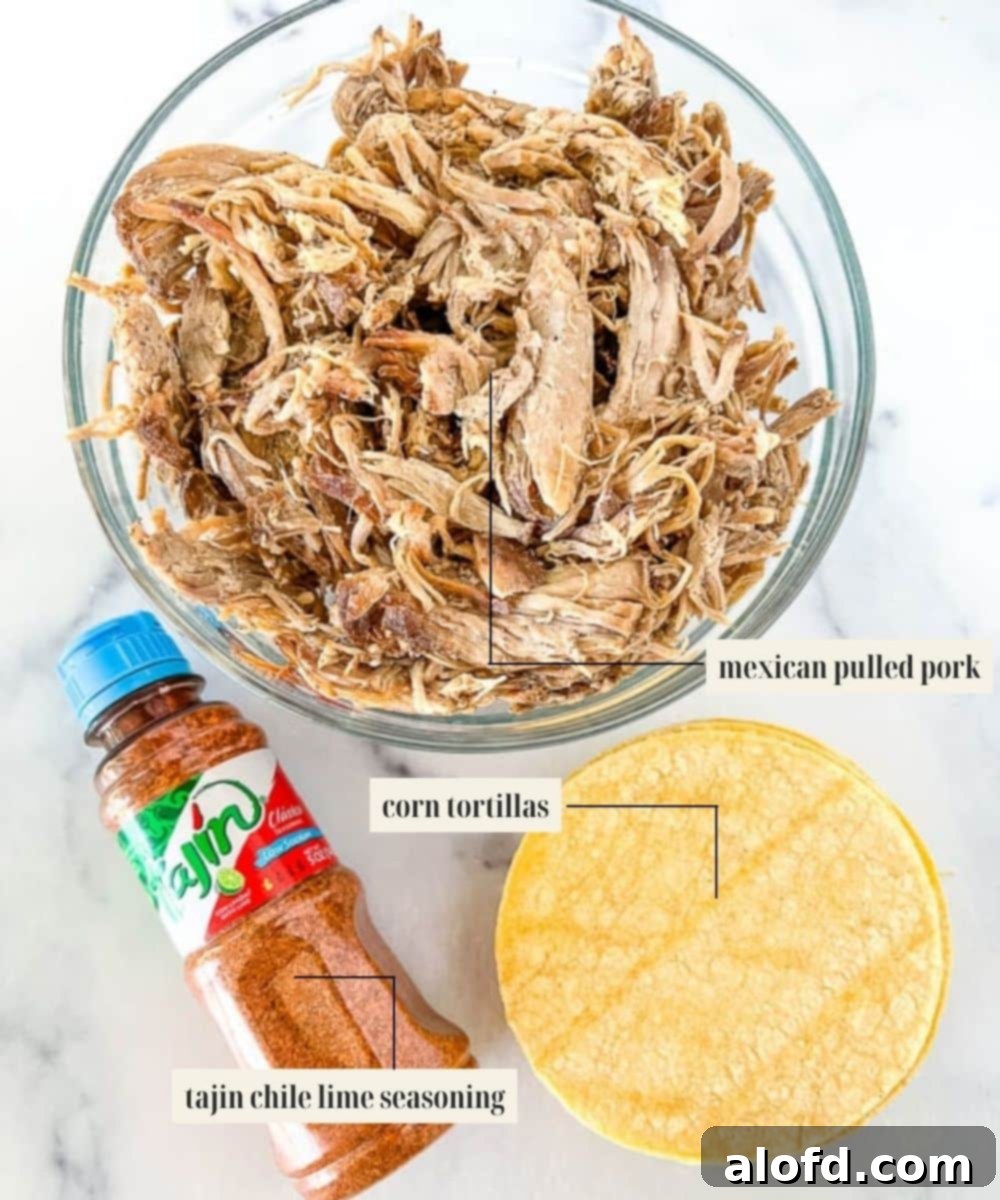 Labeled ingredients image for pork tacos.