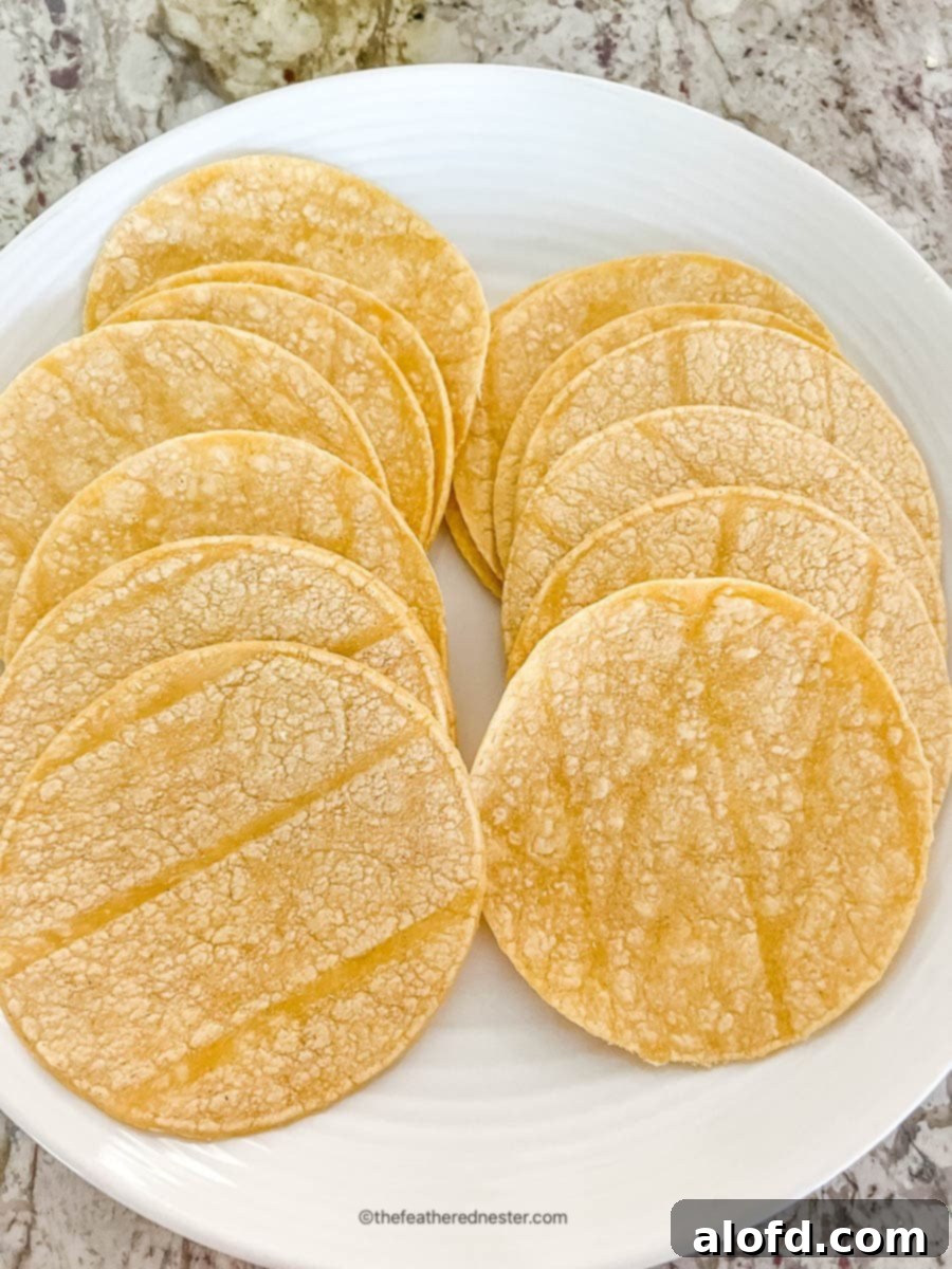Corn tortillas on a round white dinner plate.