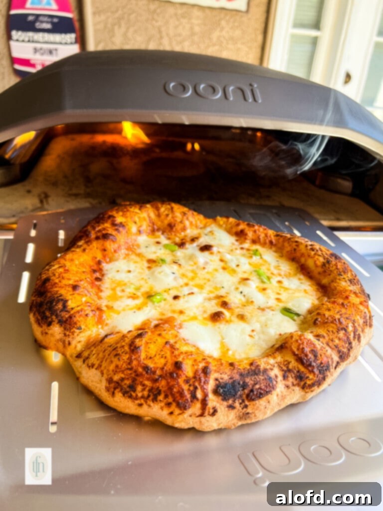 Ultimate Neapolitan Pizza Dough 6 fully baked Italian pie in Ooni oven.
