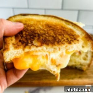 Tangy Sourdough Golden Cheese Melt 9 Woman's hand holding half of a grilled cheese sandwich, showing the melted cheese.