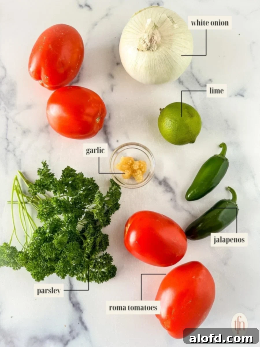 A selection of fresh ingredients including Roma tomatoes, white onion, garlic, and vibrant green jalapeños, perfectly arranged for making quick homemade salsa.