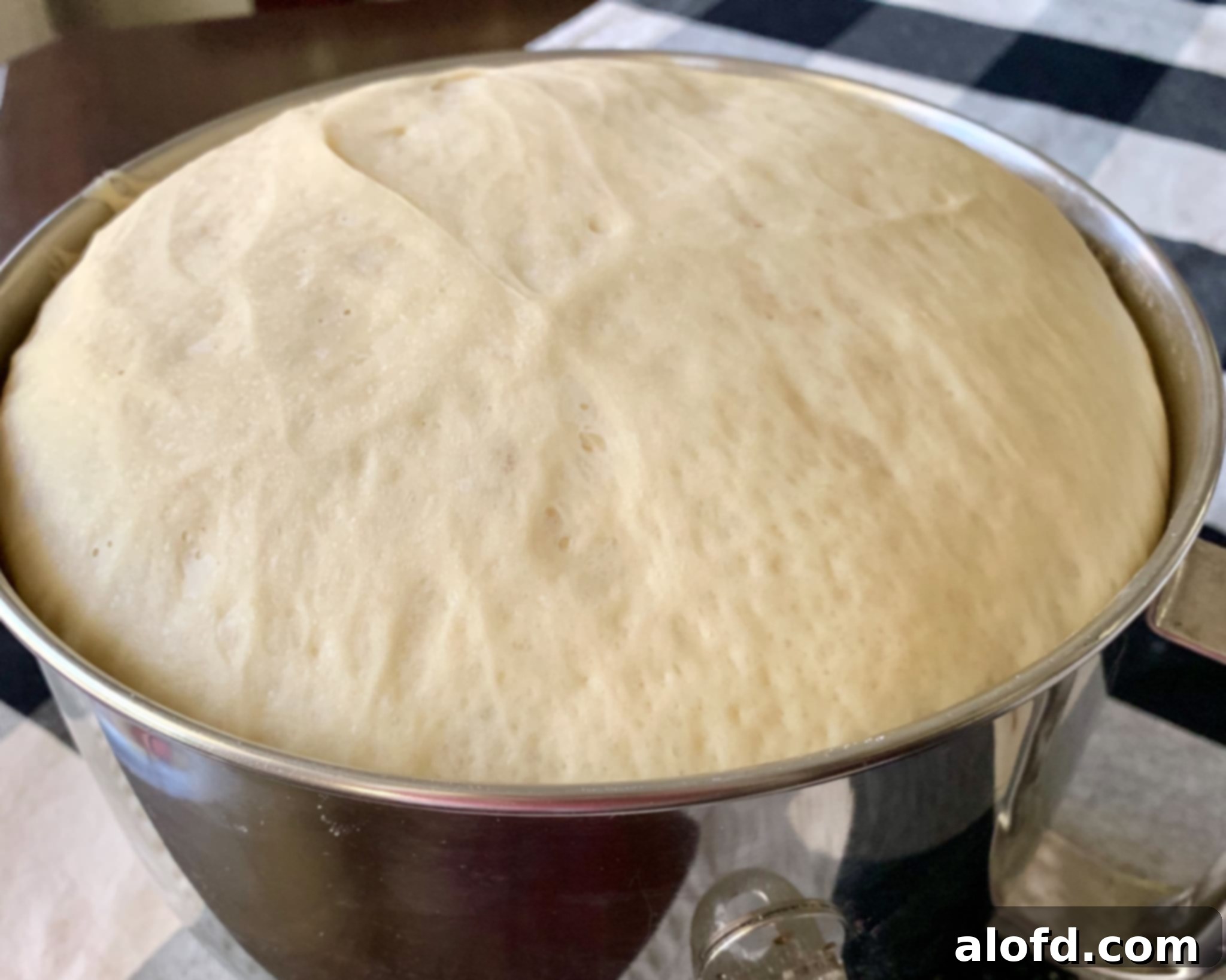 Homemade Fluffy Sandwich Bread 4 Perfectly risen yeast dough, light and airy, ready for shaping into loaves.