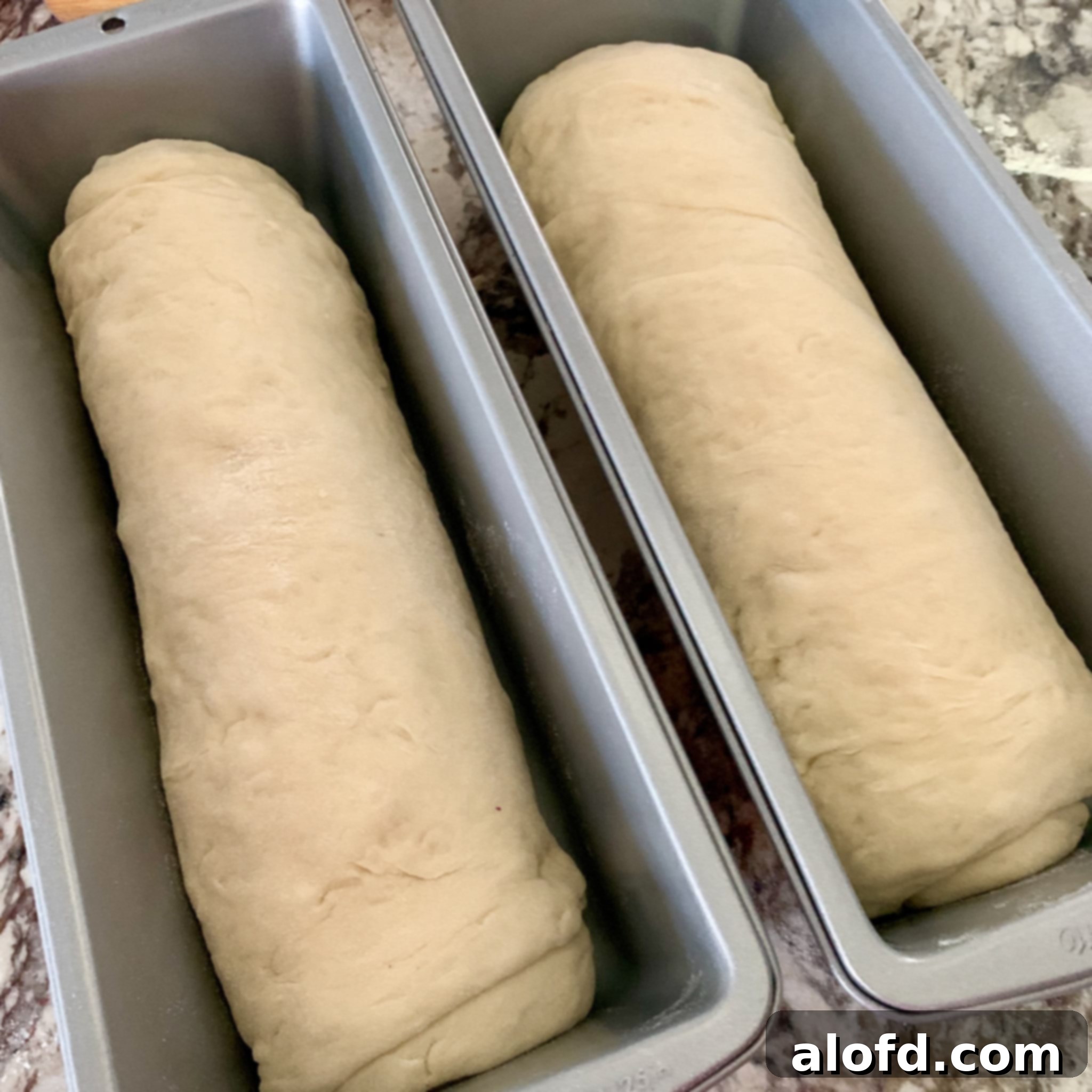 Homemade Fluffy Sandwich Bread 6 Three loaves of homemade sandwich bread, perfectly risen in their pans, ready for baking.