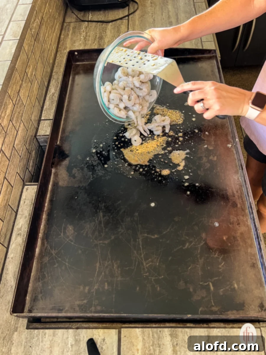 Shrimp being dumped onto a hot Blackstone griddle with a metal spatula, ready for cooking.