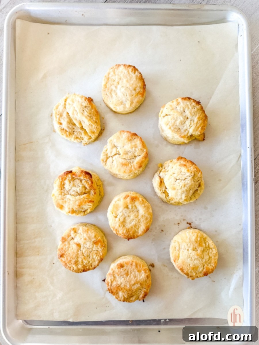 Buttermilk Biscuits with a Tangy Twist 11 Baked sour cream in biscuits on a baking sheet.